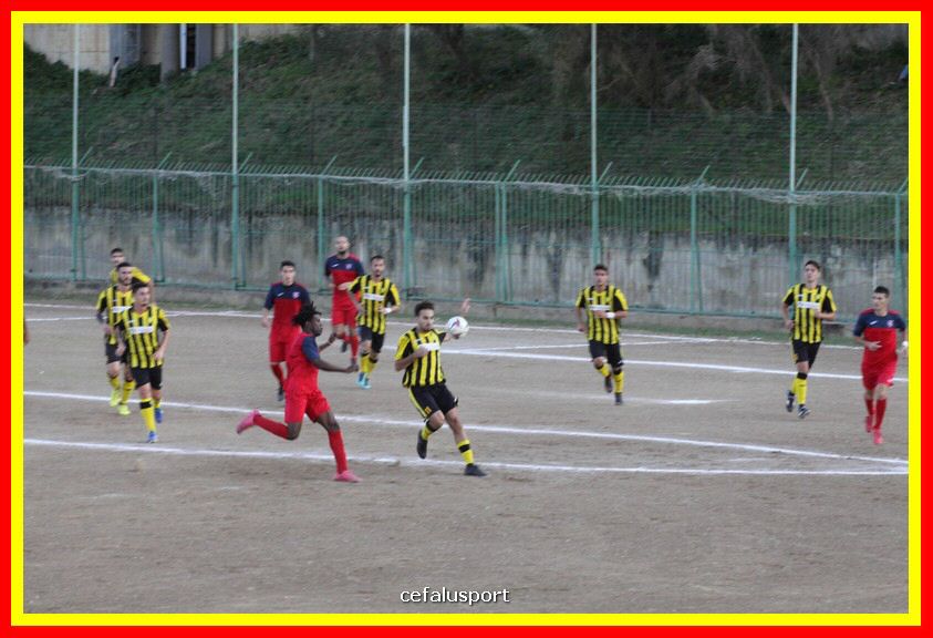 181111 Cepha_Milazzo 175_tn.JPG